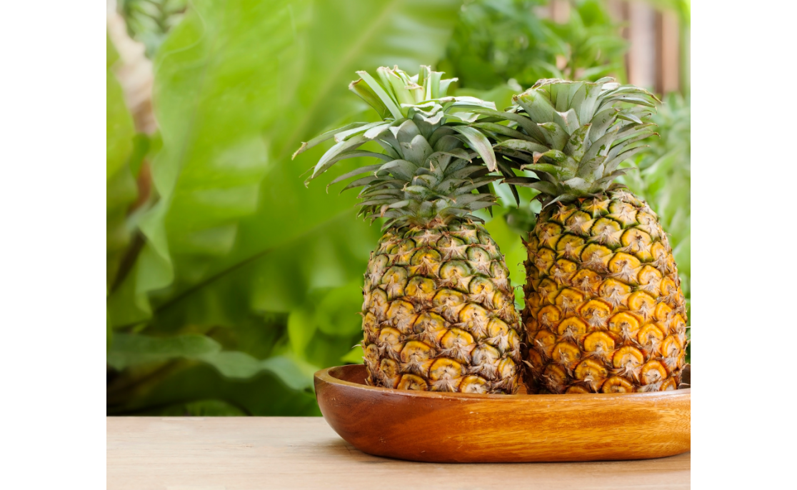 Discover more about Hagimex's Canned Pineapple