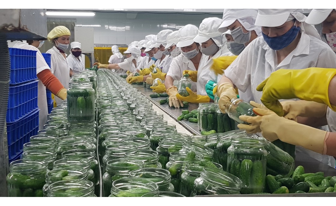 Sliced Pineapple and  Pickle Production Line