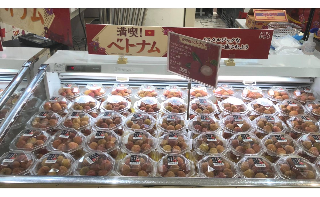 VIETNAMESE LYCHEE OFFERED FOR SALE AT 350 AEON SUPERMARKETS IN JAPAN