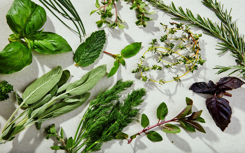 What Are Herbs?